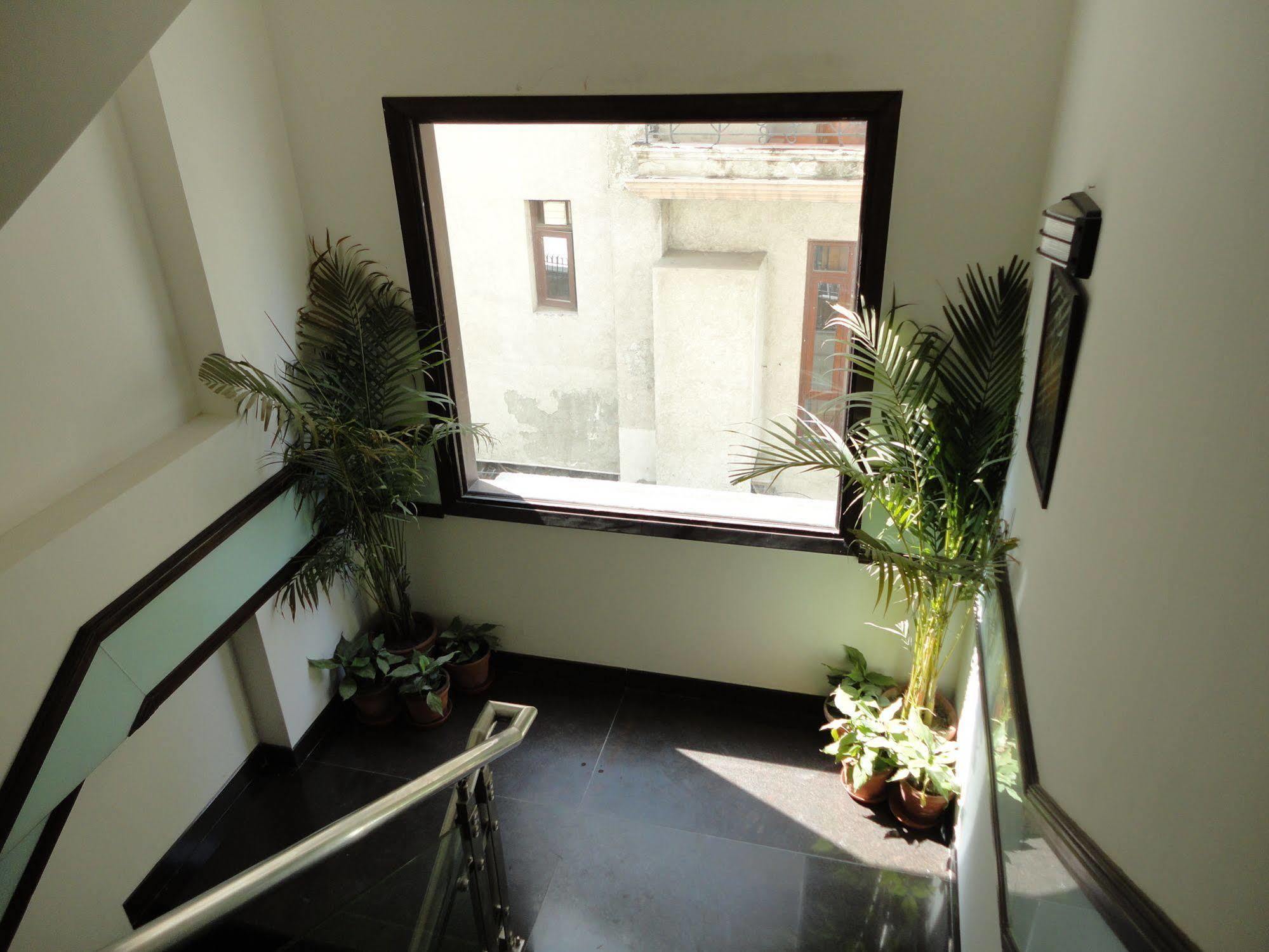 Divine Paradise Tavisha Nowe Delhi Zewnętrze zdjęcie
